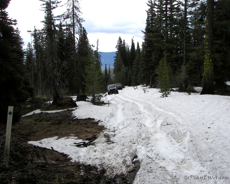 Ahtanum State Forest