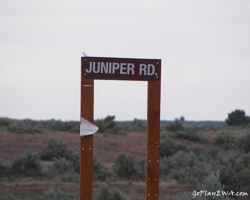 Juniper Dunes