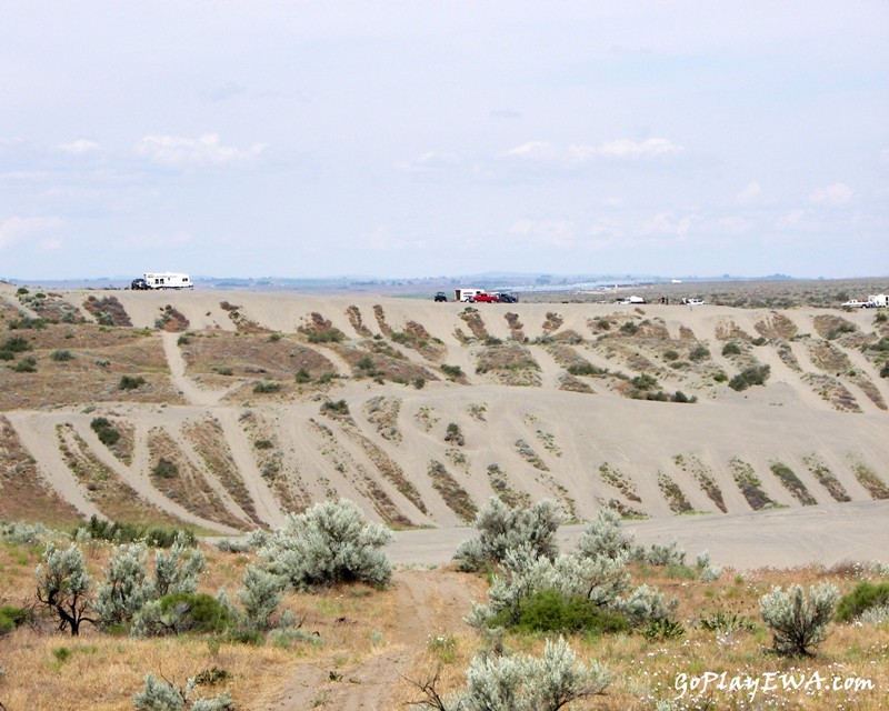 Juniper Dunes