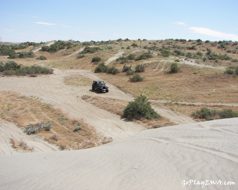 Juniper Dunes