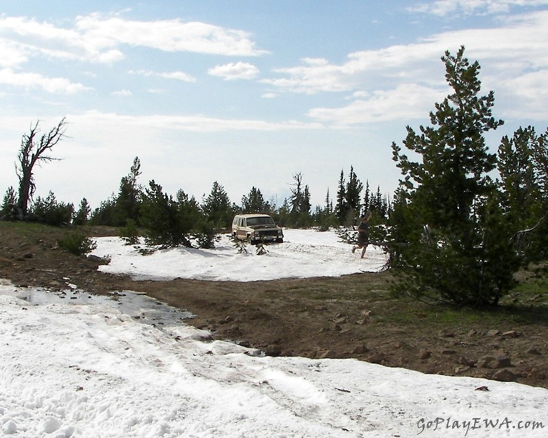 Ahtanum State Forest