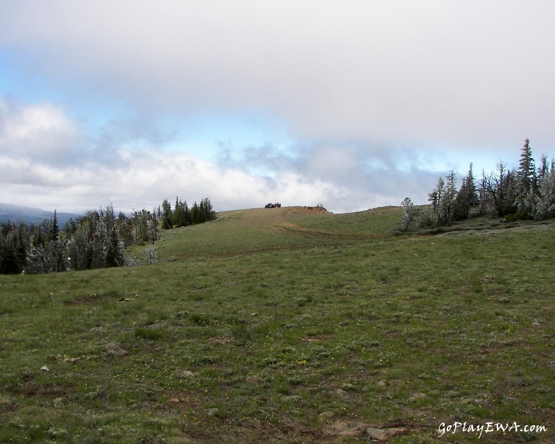 Ahtanum State Forest