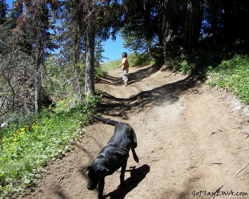 Ahtanum State Forest