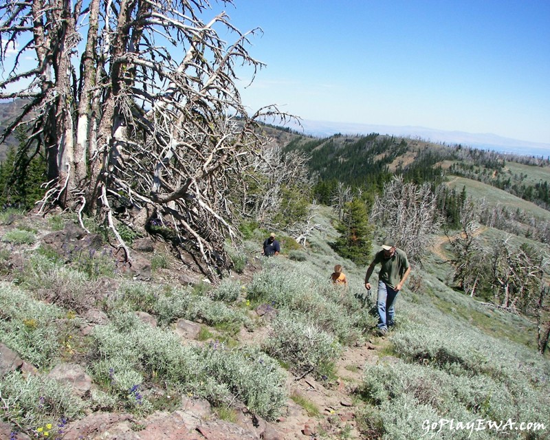 Ahtanum State Forest