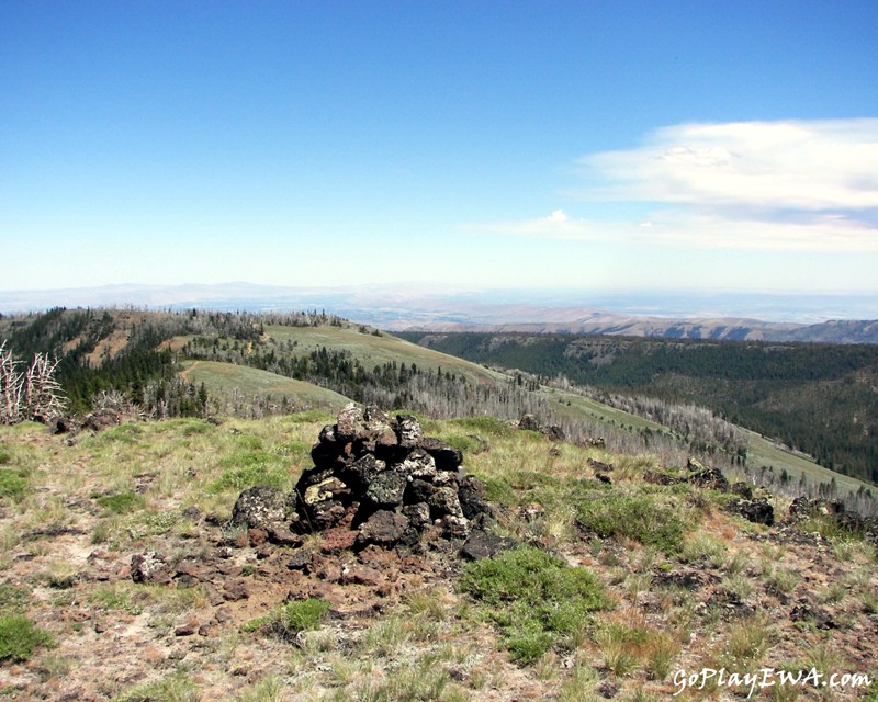 Ahtanum State Forest