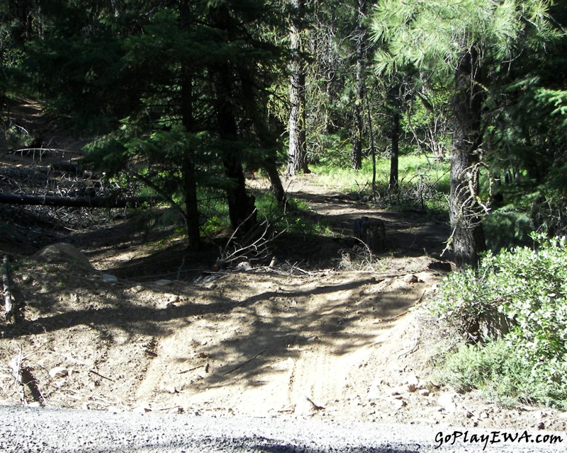 Ahtanum State Forest