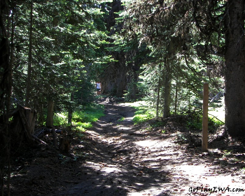 Ahtanum State Forest