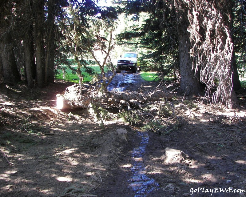 Ahtanum State Forest