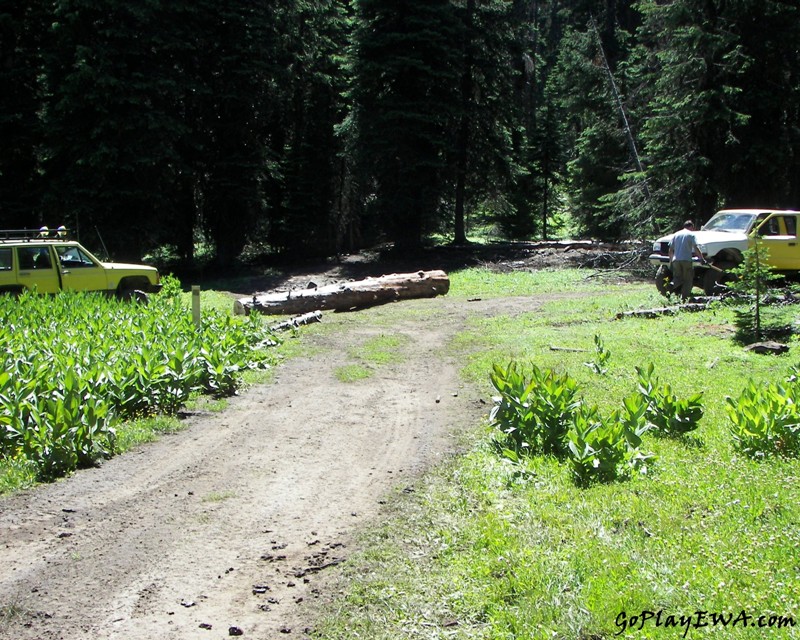 Ahtanum State Forest