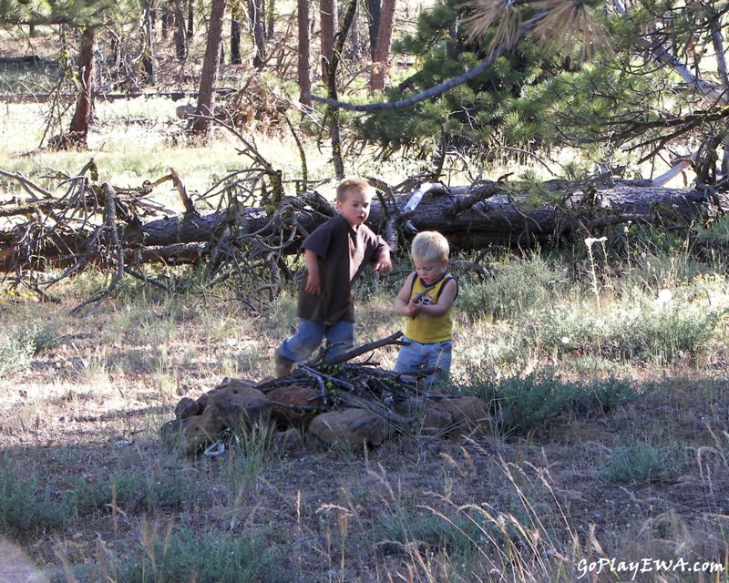 Ahtanum State Forest