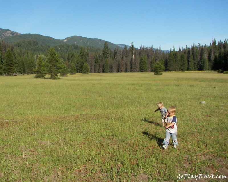 Naches - Lost Meadow