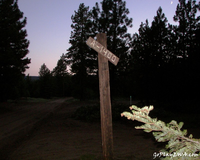 Ahtanum State Forest