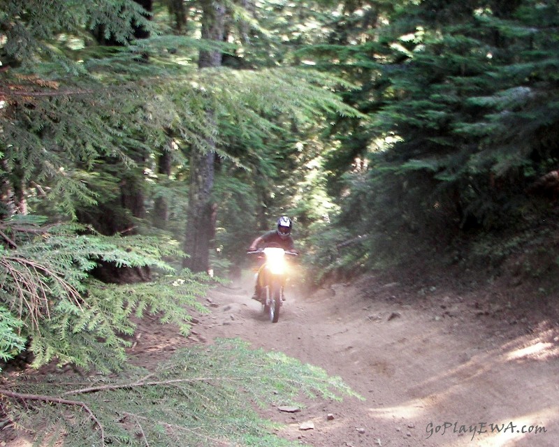 Naches Trail