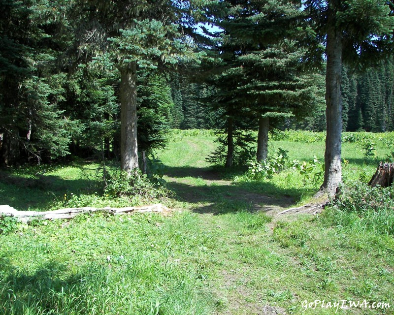 Naches Trail