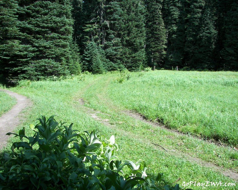 Naches Trail