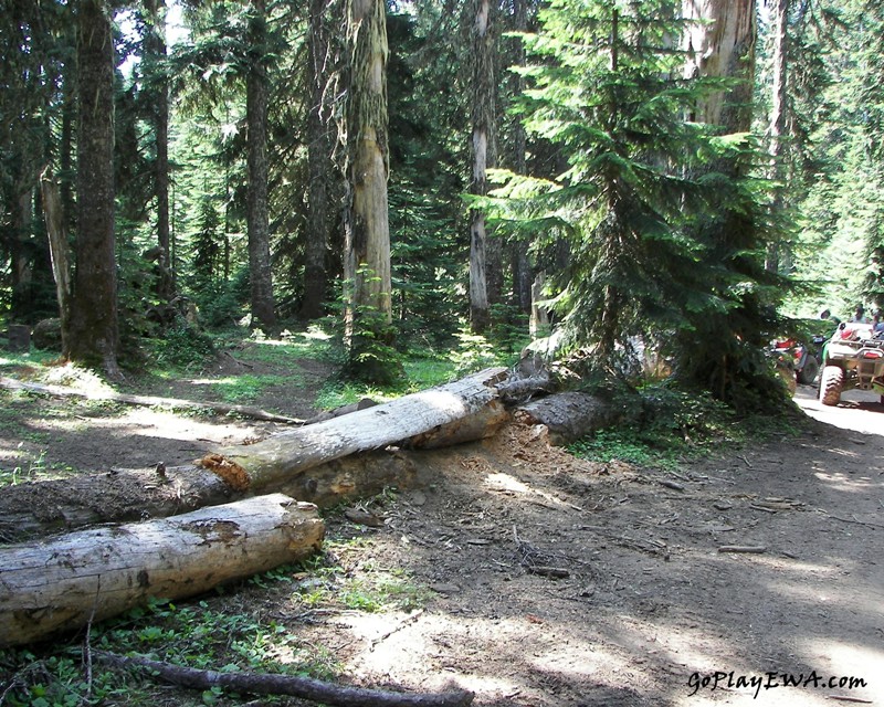 Naches Trail