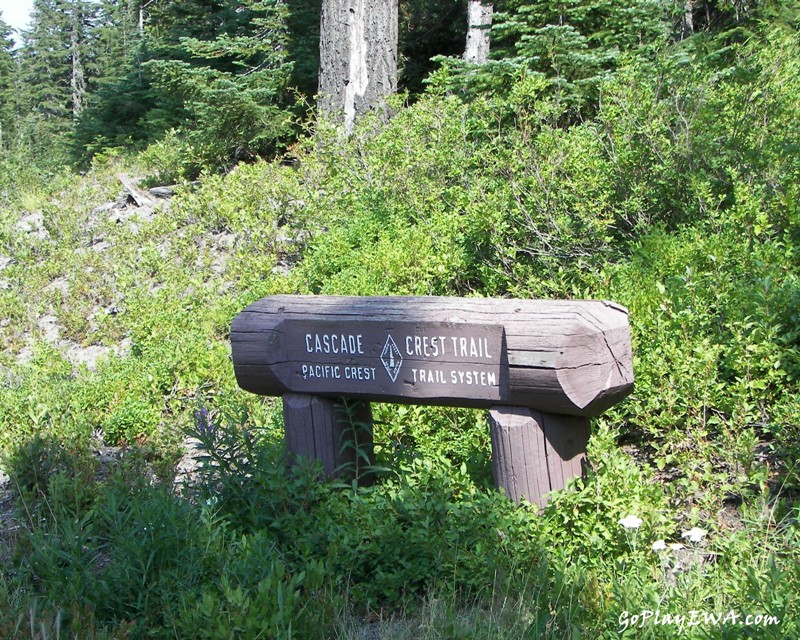 White Pass Scenic Byway.