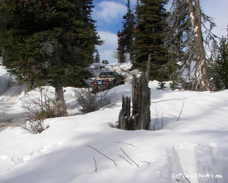 Ahtanum State Forest