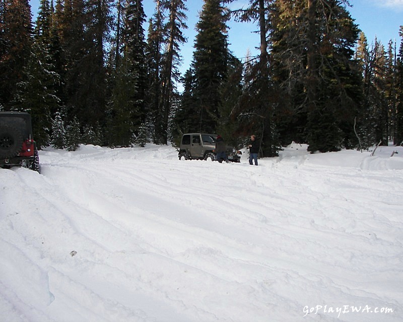 Ahtanum State Forest