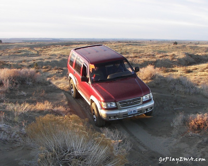 Juniper Dunes