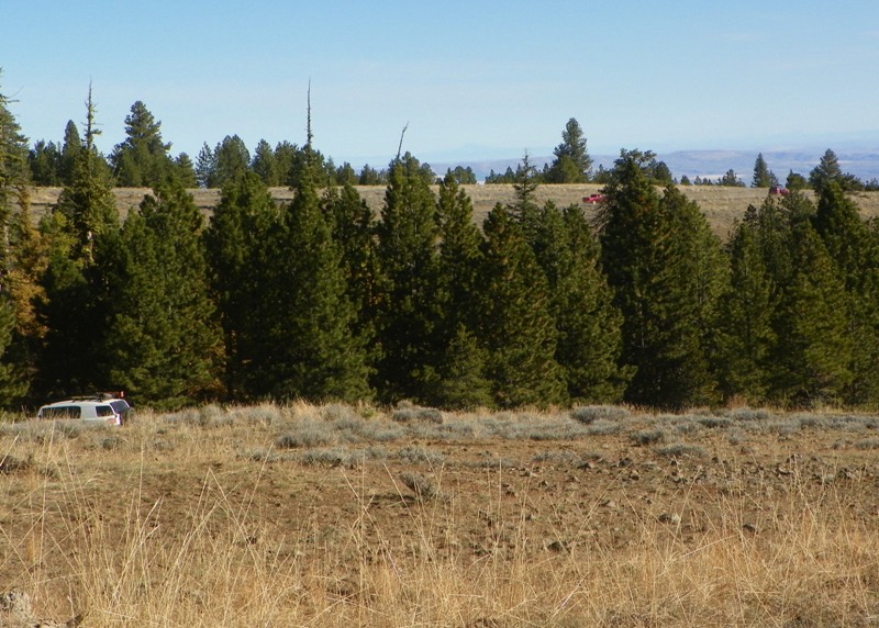 PHOTOS > Pacific Northwest Backroad Adventures: North Colockum Tour 11