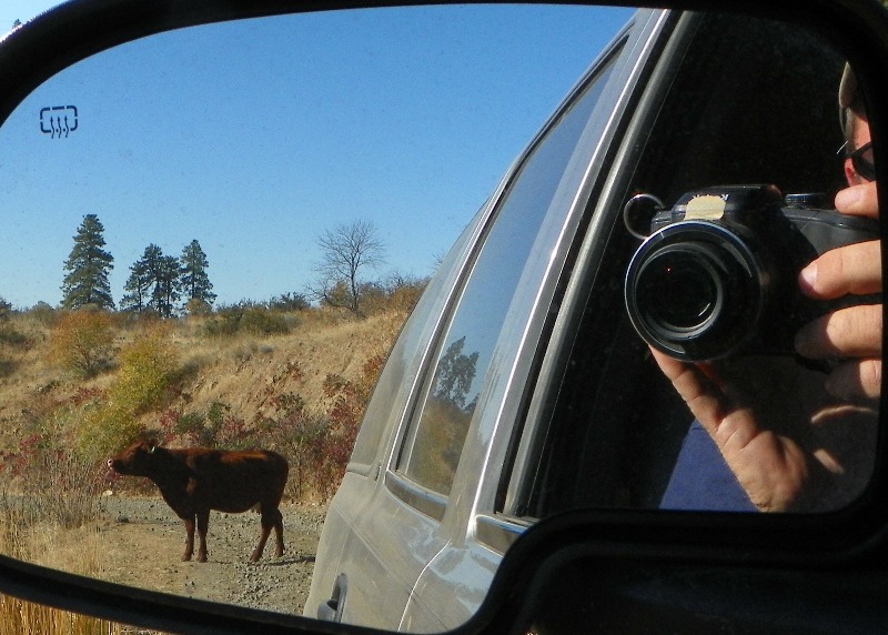 PHOTOS > Pacific Northwest Backroad Adventures: North Colockum Tour 28