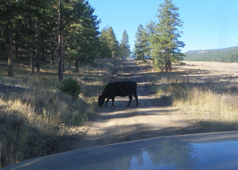 PHOTOS > Pacific Northwest Backroad Adventures: North Colockum Tour 31