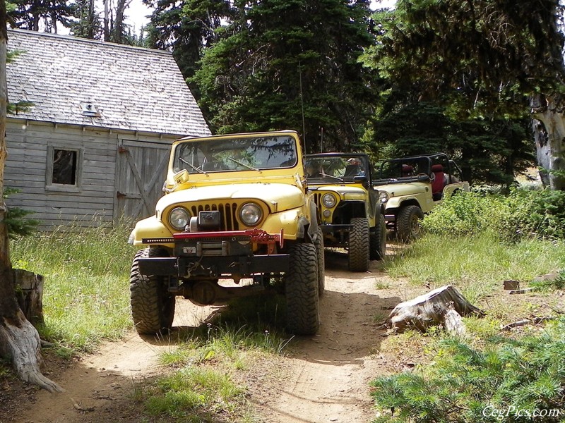 Timberwolf Mountain