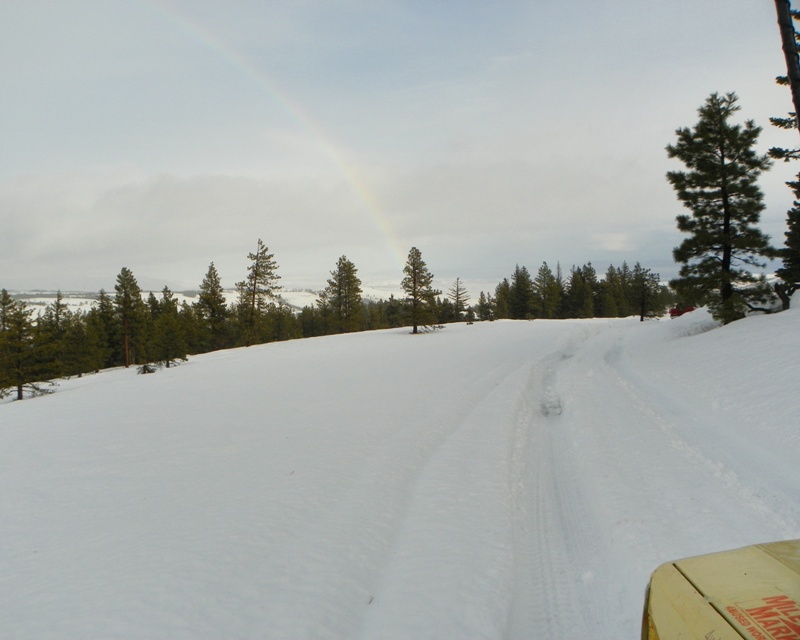 PHOTOS > EWOR: 2010 Sledding Backroads Run at the Ahtanum State Forest 36