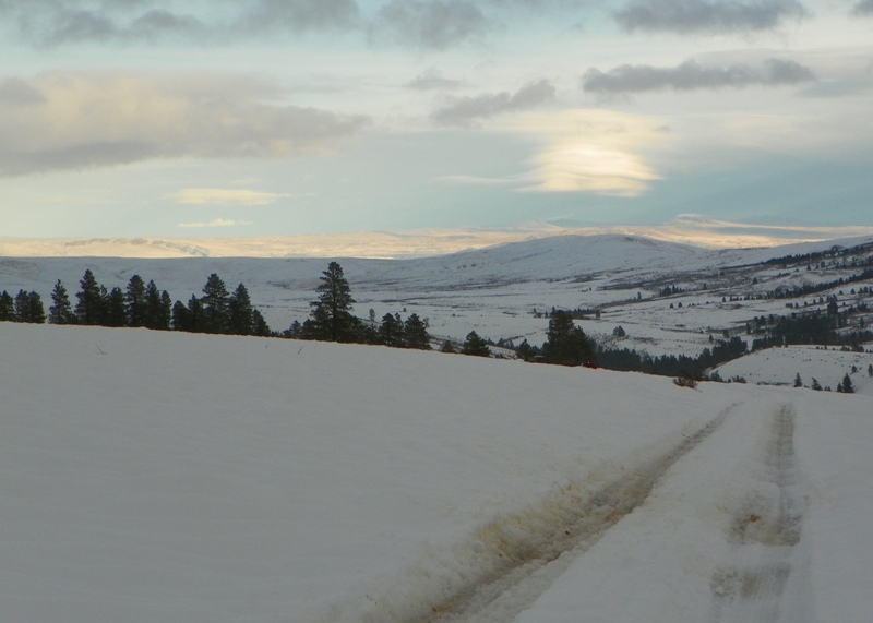 PHOTOS > EWOR: 2010 Sledding Backroads Run at the Ahtanum State Forest 41