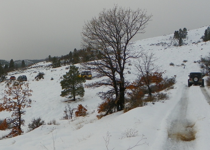 PHOTOS > EWOR: 2010 Sledding Backroads Run at the Ahtanum State Forest 48