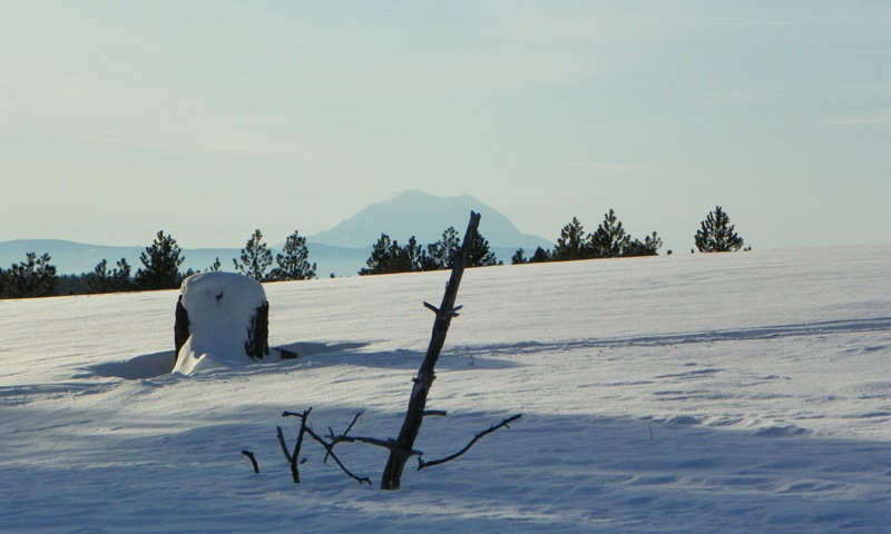 PHOTOS > EWOR: 2011 New Years Colockum Snow Run 50