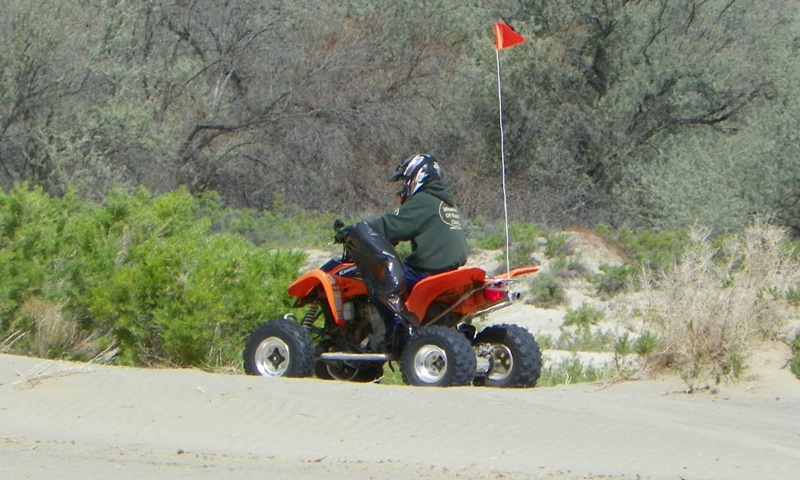PHOTOS > EWOR: 2011 Beverly Dunes Clean-up & Camp-out 22