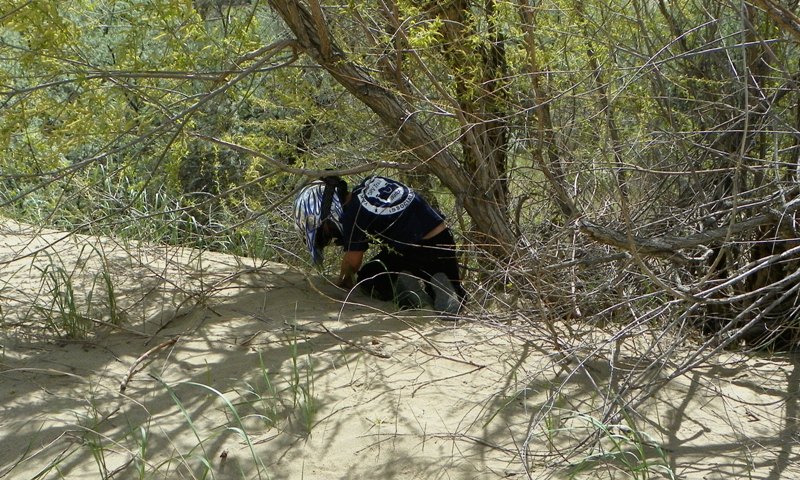 PHOTOS > EWOR: 2011 Beverly Dunes Clean-up & Camp-out 52