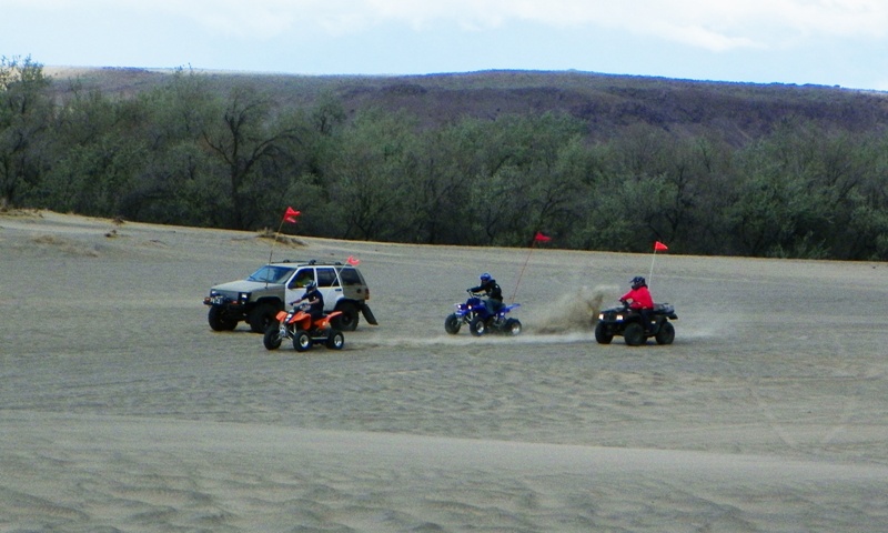 PHOTOS > EWOR: 2011 Beverly Dunes Clean-up & Camp-out 66