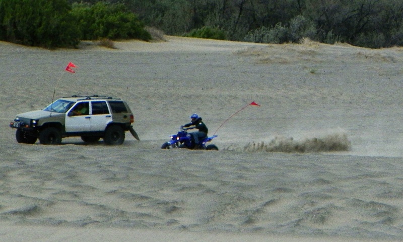 PHOTOS > EWOR: 2011 Beverly Dunes Clean-up & Camp-out 67