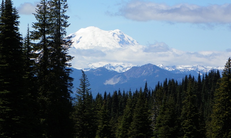 Pacific Northwest 4 Wheel Drive Association’s 2011 Trail Jamboree – Day 3 of 5 38