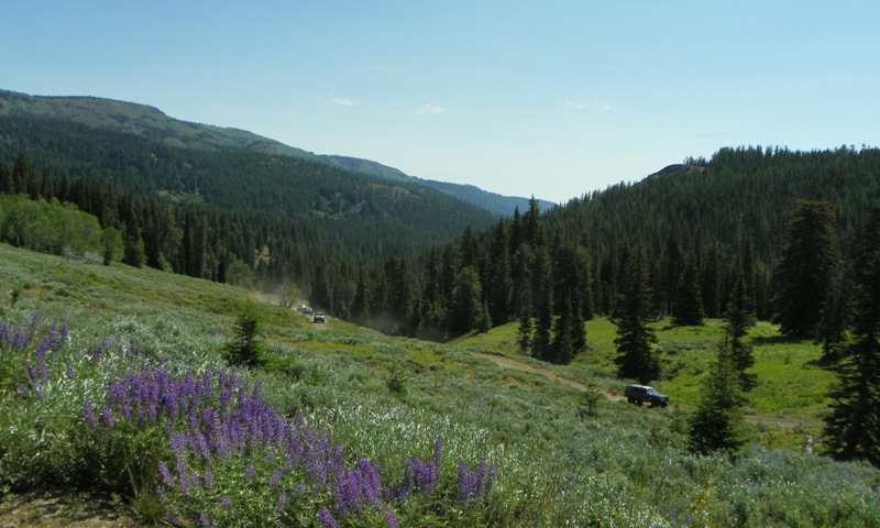 Ahtanum Camp-out & ORV Trails Clean-up 4