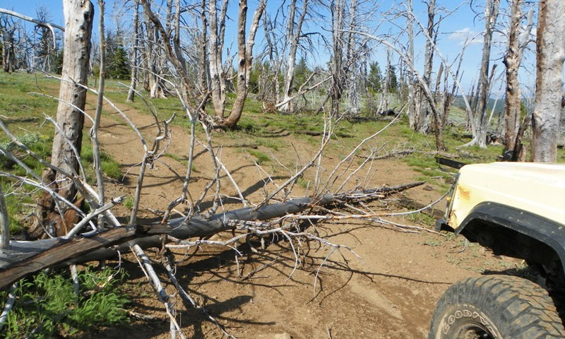 Ahtanum Camp-out & ORV Trails Clean-up 54