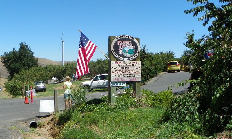 Cherry Festival at Barrett Orchards 2