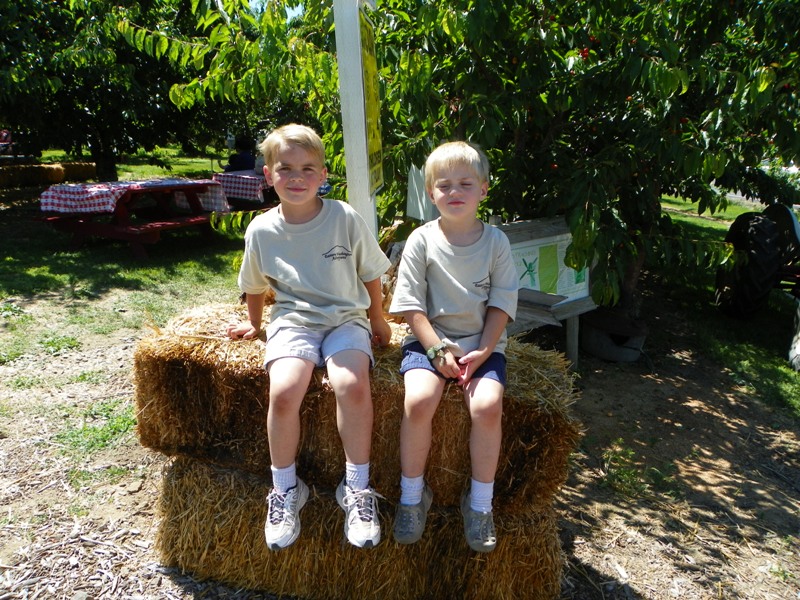 Cherry Festival at Barrett Orchards 7