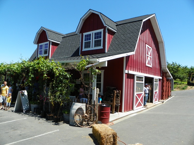 Cherry Festival at Barrett Orchards 8