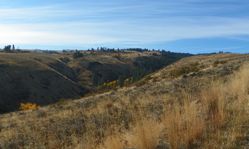 Cleman Mountain Halloween Backroads Run – Oct 29 2011 11