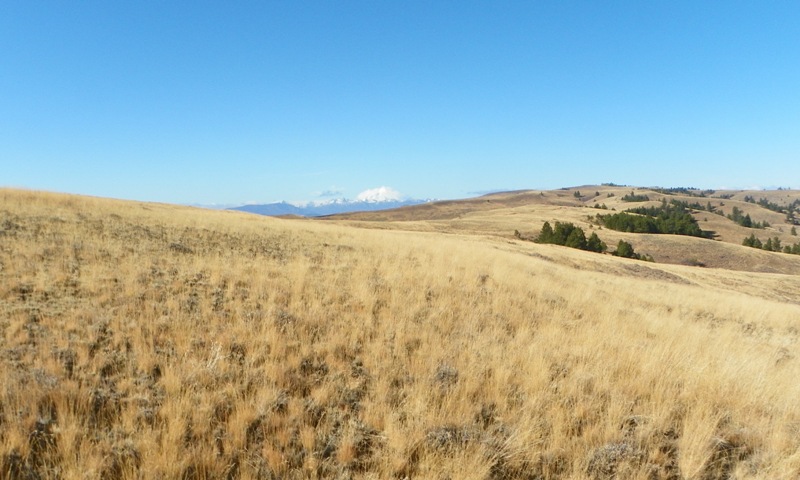 Cleman Mountain Halloween Backroads Run – Oct 29 2011 22