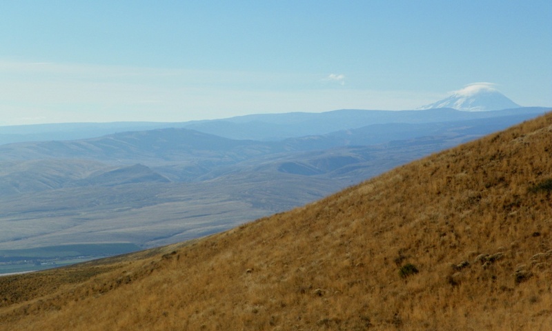 Cleman Mountain Halloween Backroads Run – Oct 29 2011 27