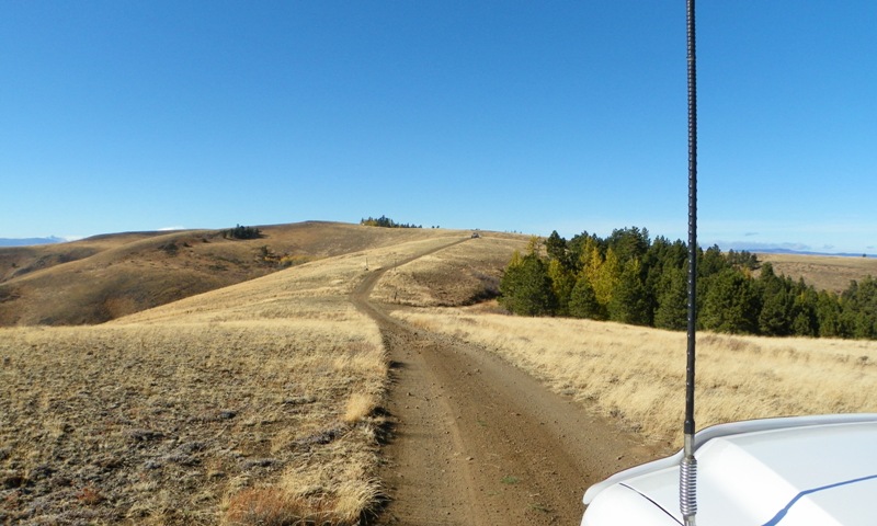 Cleman Mountain Halloween Backroads Run – Oct 29 2011 38