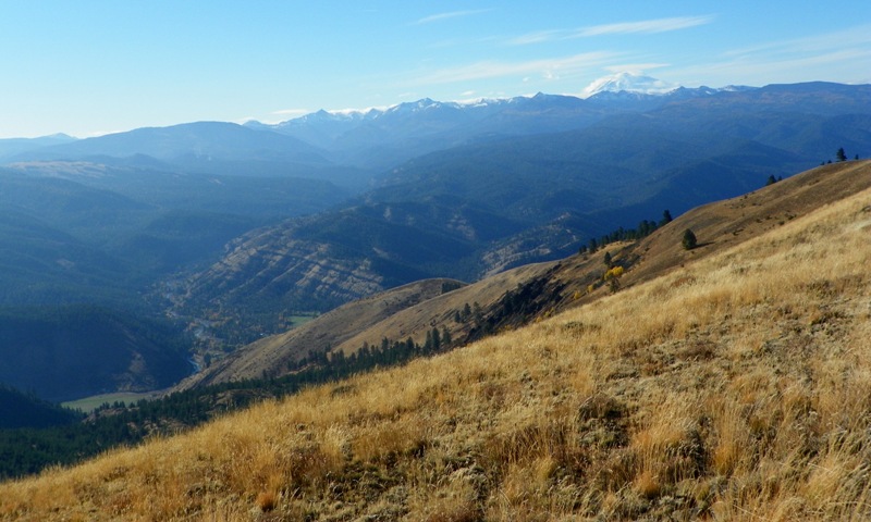 Cleman Mountain Halloween Backroads Run – Oct 29 2011 50