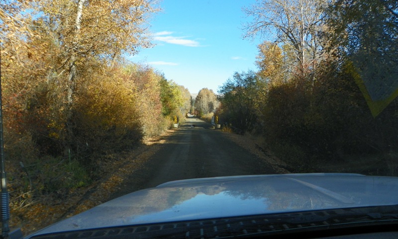 Cleman Mountain Halloween Backroads Run – Oct 29 2011 53