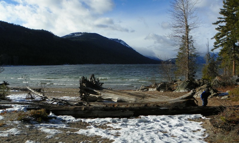 Lake Wenatchee State Park 12