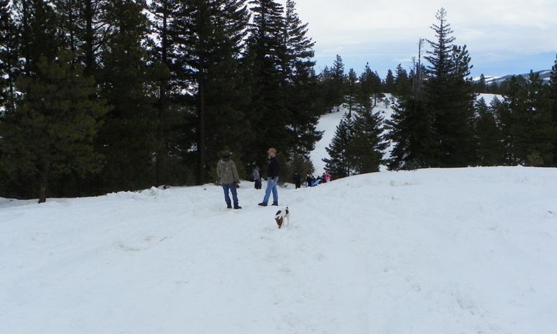 Sledding/Snow Wheeling Run at the Ahtanum State Forest 34